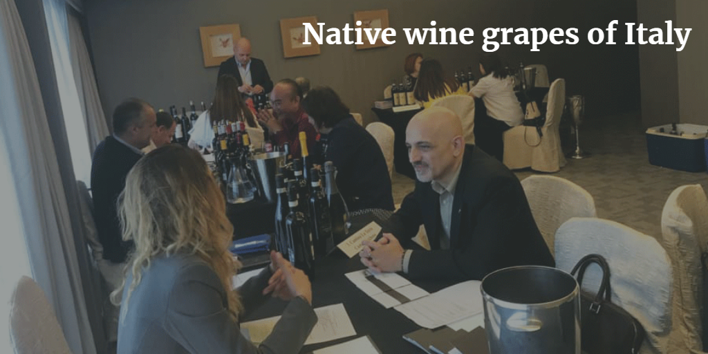 Native wine grapes of Italy masterclass