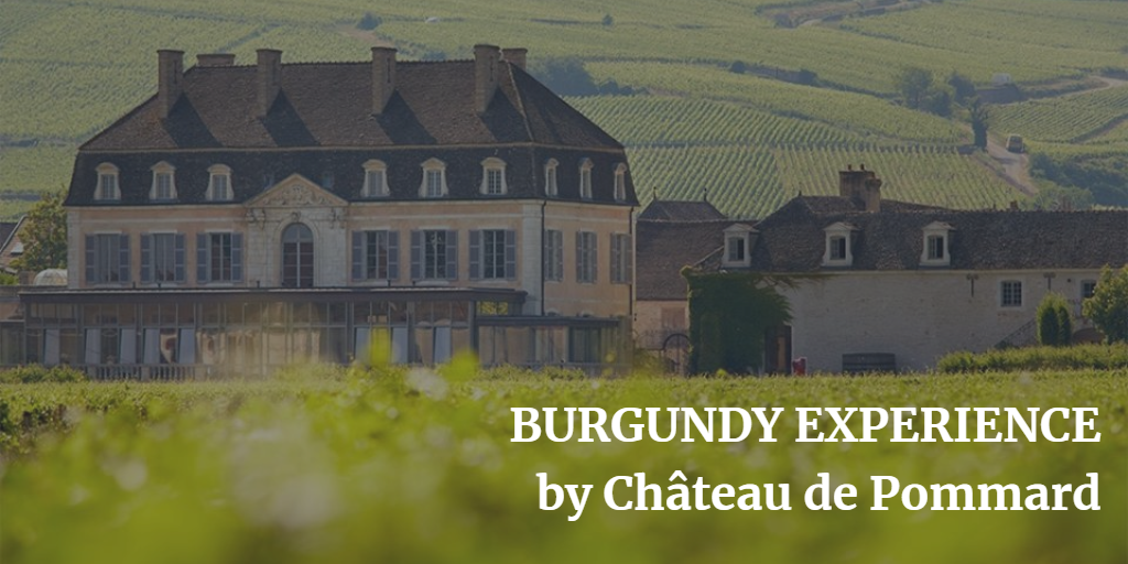Experience Burgundy by Château de Pommard
