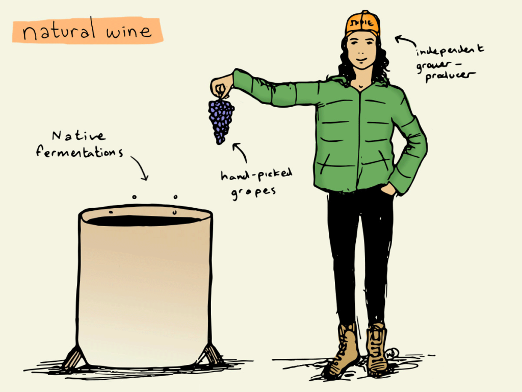 Natural wine: there is still no definitive definition of natural wine