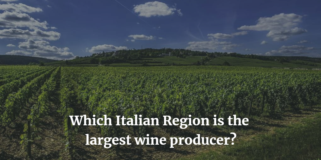 2020 Italian wine harvest forecast, region by region