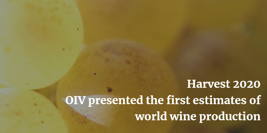 Harvest 2020: OIV presented the first estimates of world wine production
