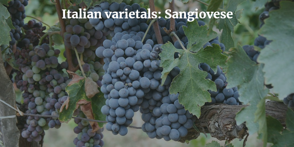 Italian varietals: Sangiovese