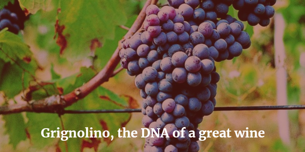 Grignolino, the DNA of a great wine